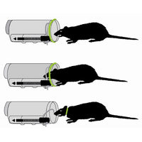 Rat Trap Clean and easy quick kill. Plus FREE pack extra 20 rings home tiny