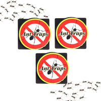 6x Ant Traps Bait Station Pre Baited Indoor Outdoor Clean Catcher Destroy nest home Home & Garden tiny