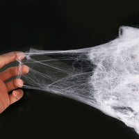 Stretchable Spider Web and 6 Plastic Spiders