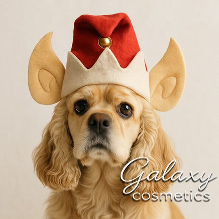 Dog Christmas Elf Hat Fancy Dress With Bell & Ears Novelty Pet Xmas Costume Default Title Christmas seasonal
