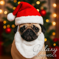 Christmas Pet Hat and Beard 2 Piece Gift Set Dog Puppy Cat Kitten Xmas Costume Christmas seasonal