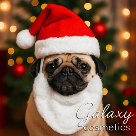 Christmas Pet Hat and Beard 2 Piece Gift Set Dog Puppy Cat Kitten Xmas Costume Christmas seasonal