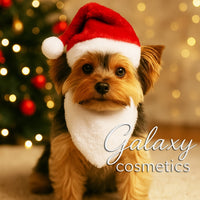 Christmas Pet Hat and Beard 2 Piece Gift Set Dog Puppy Cat Kitten Xmas Costume Default Title Christmas seasonal