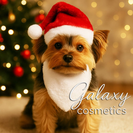 Christmas Pet Hat and Beard 2 Piece Gift Set Dog Puppy Cat Kitten Xmas Costume Default Title Christmas seasonal