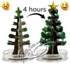 Magic Growing Christmas Tree with Star and Garland, Grow Crystals Gift Christmas seasonal tiny