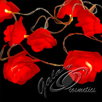 Led Rose String Lights Valentines Day Romantic Decoration, Battery Operated hearts seasonal tiny