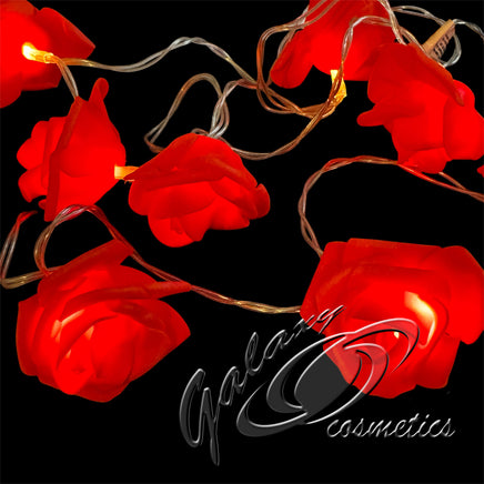 Led Rose String Lights Valentines Day Romantic Decoration, Battery Operated hearts seasonal tiny