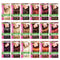 Marion Hair Colour Shampoo Health & Beauty:Hair Care & Styling:Hair Colourants galaxy hair hair care hair dye