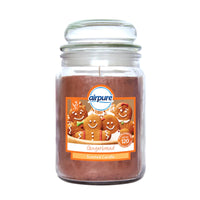 AirPure Large Scented Candle In Glass Jar Christmas Winter Fragrances 510g 18oz Gingerbread candles Christmas galaxy Gift Shop other xmas smell seasonal xcandle xmas smell