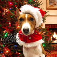 Pet Christmas Santa Hat and Collar Set - Xmas Costume for Small & Medium Dog Christmas pets seasonal tiny Xwear