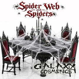 Stretchable Spider Web and 6 Plastic Spiders