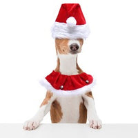Pet Christmas Santa Hat and Collar Set - Xmas Costume for Small & Medium Dog Christmas pets seasonal tiny Xwear