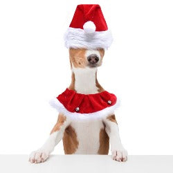 Pet Christmas Santa Hat and Collar Set - Xmas Costume for Small & Medium Dog Christmas pets seasonal tiny Xwear
