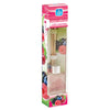Pan Aroma Reed Diffuser with Sticks Home Fragrance 30ml Wild Berries aroma candles galaxy