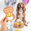 Smart Choice Puppy Milestone Cards Dog Celebration Special Moments Photo Gift pets tiny