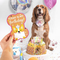 Smart Choice Puppy Milestone Cards Dog Celebration Special Moments Photo Gift pets tiny