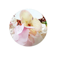 Flower Hair Garland Head Floral Tiara with Pearls Beads Wedding Party Prom garlands Jewellery party tiny