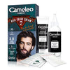 Delia Cameleo MEN Hair Beard Moustache Color Dye Effect in 5 min Cover GREY Hair 3.0 Dark Brown Health & Beauty:Hair Care & Styling:Hair Colourants hair hair dye