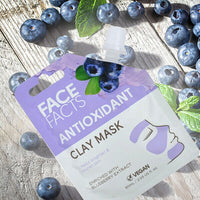 2 x Face Facts MUD CLAY GEL Face Mask Assorted All Skin Types VEGAN 2 x 60ml CLAY / Antioxidant - Blueberry Health & Beauty:Skin Care:Skin Masks face care skin